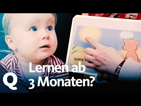 Frühförderung – Sollten Babys zur Schule gehen? | Quarks
